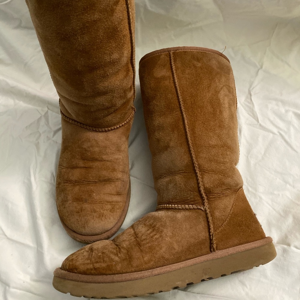 tall chestnut classic uggs